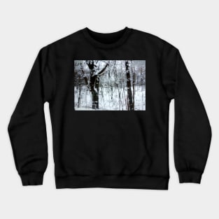 Winter Slush Crewneck Sweatshirt